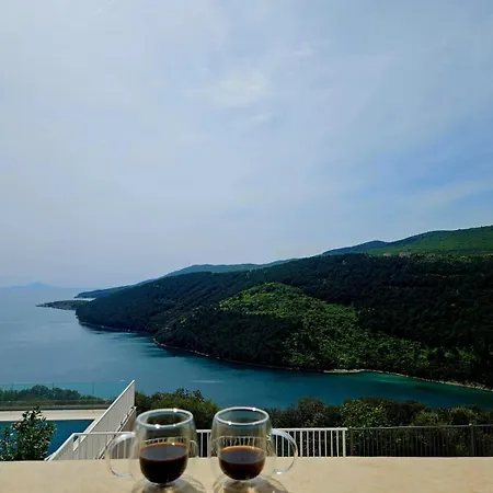 Ena Villa Labin (Istria)