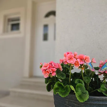 Ena Labin (Istria)